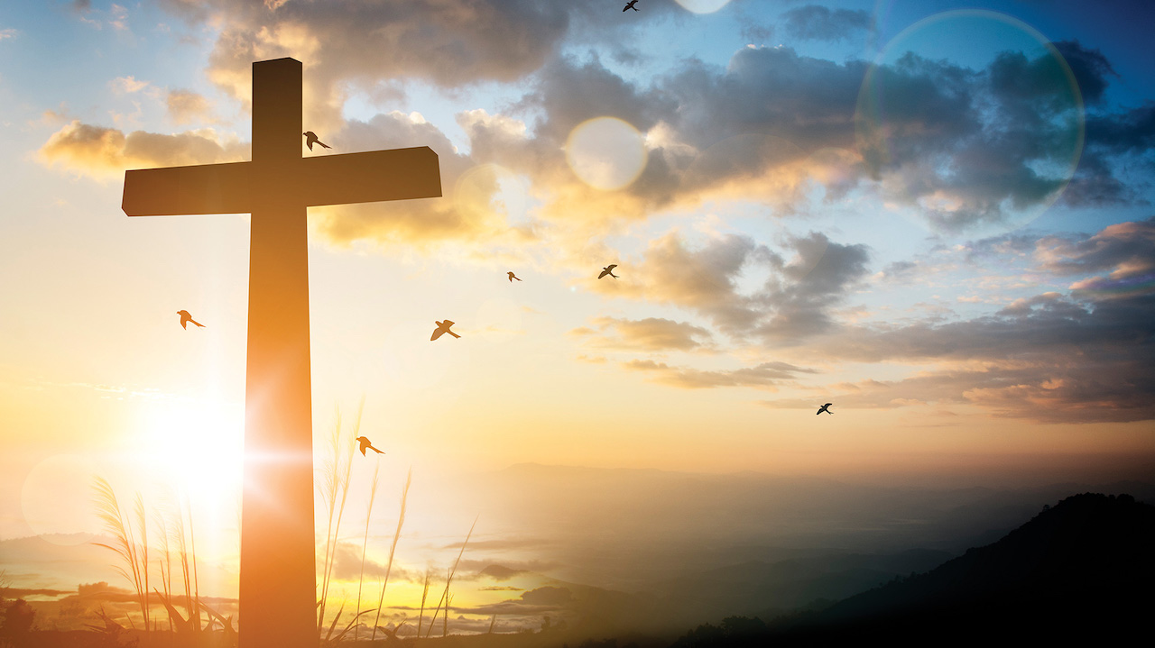 Images Matter / December 2022